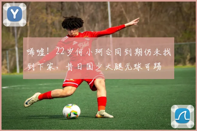 唏嘘！22岁何小珂合同到期仍未找到下家，昔日国少大腿无球可踢